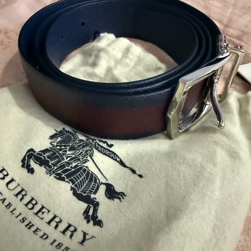 Burberry Blue and Brown Leather Shoulder Bag with Silver Hardware - Picture 10 of 13